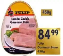 President Hyper Tulip Gammon Ham offer
