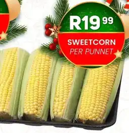 Take 'n Pay Sweetcorn offer