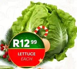 Take 'n Pay Lettuce offer