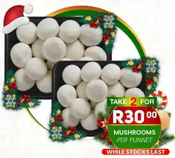 Take 'n Pay Mushrooms offer