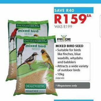 Mixed bird seed