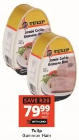 Checkers Tulip Gammon Ham offer
