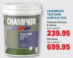 Cashbuild Champion texture acrylic pva offer