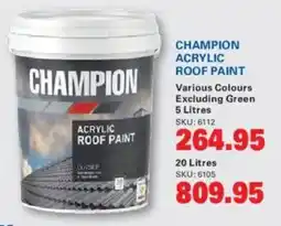 Cashbuild Champion acrylic roof paint offer