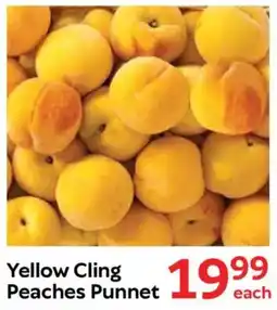 Oxford Freshmarket Yellow Cling Peaches Punnet offer