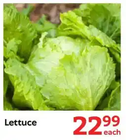 Oxford Freshmarket Lettuce offer