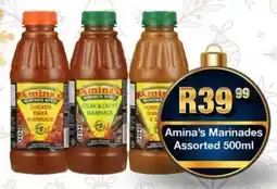 Take 'n Pay Amina's Marinades Assorted offer