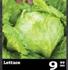 Oxford Freshmarket Lettuce offer