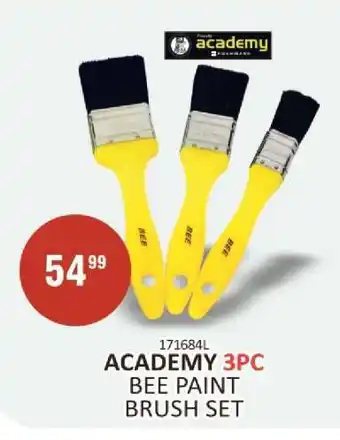 ACADEMY 3pc Bee Paint Brush Set