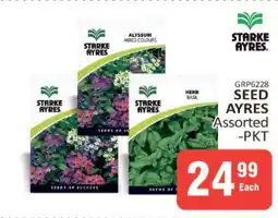 KitKat Cash and Carry SEED AYRES Assorted -PKT offer
