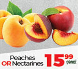 Take 'n Pay Peaches Or Nectarines offer