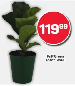 Pick n Pay Hypermarket PnP Green Plant Small offer