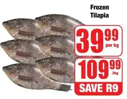 Boxer Frozen Tilapia offer