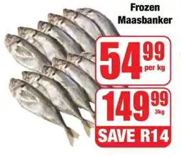 Boxer Frozen Maasbanker offer