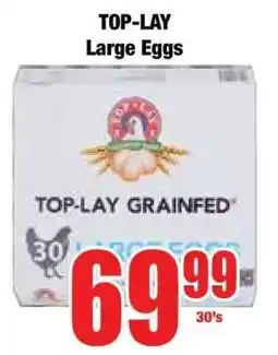 Boxer TOP-LAY Large Eggs offer