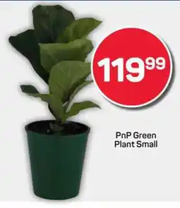 Pick n Pay PnP Green Plant Small offer
