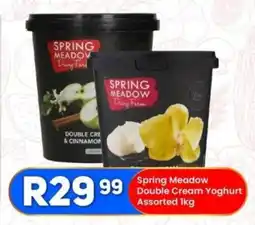 Take 'n Pay Spring Meadow Double Cream Yoghurt Assorted offer