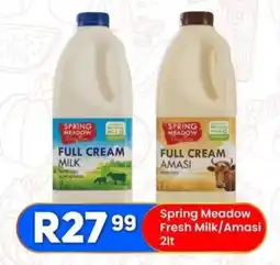 Take 'n Pay Spring Meadow Fresh Milk/ Amasi offer