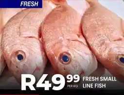 Take 'n Pay Fresh small line fish offer