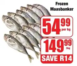 Boxer Superstores Frozen Maasbanker offer