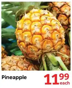 Oxford Freshmarket Pineapple offer