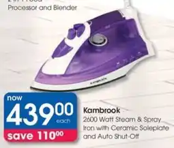 Clicks Kambrook 2600 Watt Steam & Spray Iron with Ceramic Soleplate and Auto Shut-Off offer