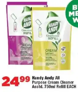OK MiniMark Handy Andy All Purpose Cream Cleaner Asstd. Refill offer