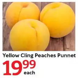 Oxford Freshmarket Yellow Cling Peaches Punnet offer