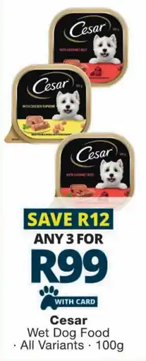 Checkers Cesar Wet Dog Food offer