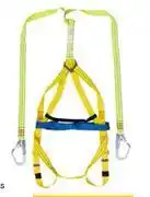 Builders Warehouse Double Lanyard With Scaffold Hooks & Belt Yellow & Black (782354) offer
