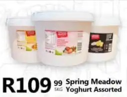 Take 'n Pay Spring Meadow Yoghurt Assorted offer