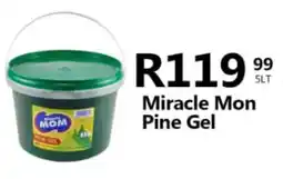 Take 'n Pay Miracle Mon Pine Gel offer