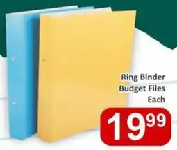 Big Save Ring Binder Budget Files offer
