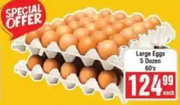Frontline Large Eggs offer