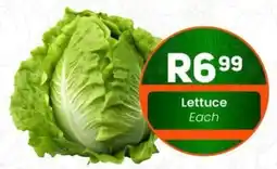 Take 'n Pay Lettuce offer