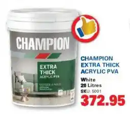 Cashbuild Champion extra thick acrylic pva offer