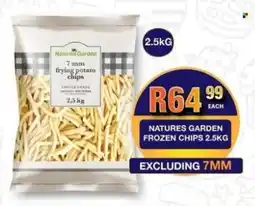 Take 'n Pay Natures garden frozen chips offer