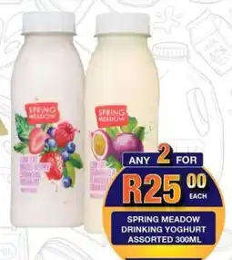 Take 'n Pay Spring meadow drinking yoghurt assorted offer