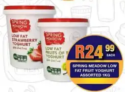 Take 'n Pay Spring meadow low fat fruit yoghurt assorted offer