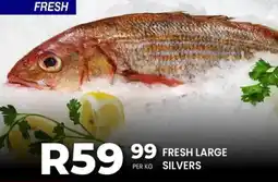 Take 'n Pay Fresh large silvers offer