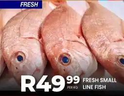 Take 'n Pay Fresh small line fish offer