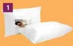 Bradlows Sleepmasters Hollowfiber Pillows offer