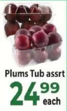 Supa Store Plums Tub offer