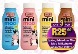 Take 'n Pay Spring Meadow Mini Moo Milkshake Assorted offer