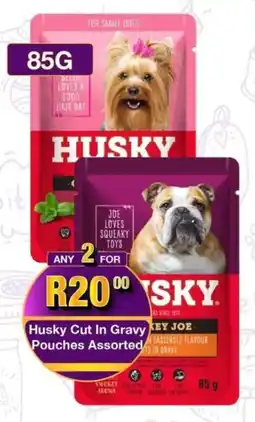 Take 'n Pay Husky Cut In Gravy Pouches Assorted offer