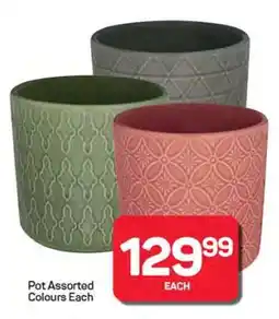 Pick n Pay Hypermarket Pot Assorted Colours Each offer