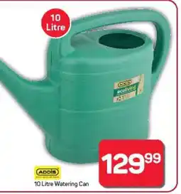 Pick n Pay Hypermarket ADDIS 10 Litre Watering Can offer