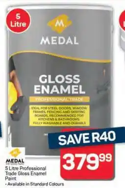 Pick n Pay Hypermarket Medal Gloss Enamel Paint offer