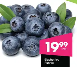 Save Hyper Blueberries Punnet offer