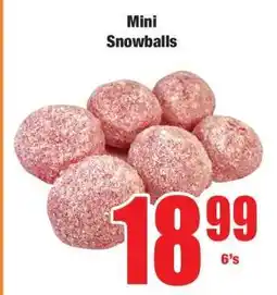 Boxer Mini Snowballs offer